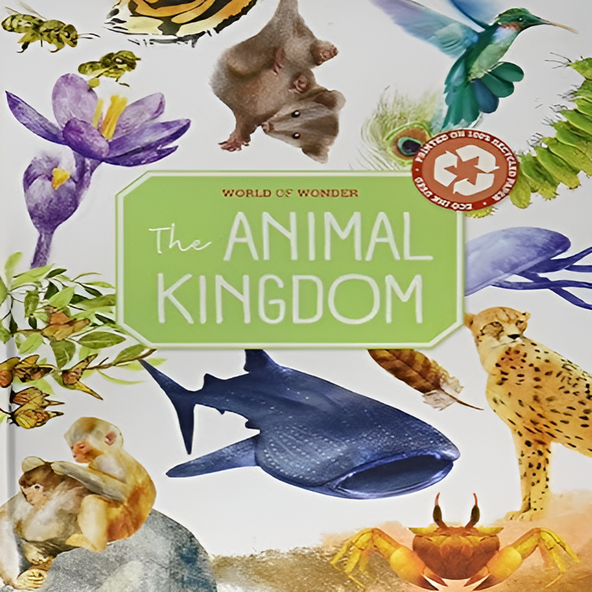 The Animal Kingdom (Beautiful Watercolour Illustrated Book