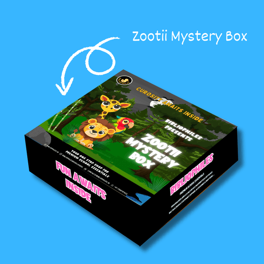Mystery box for kids boys edition