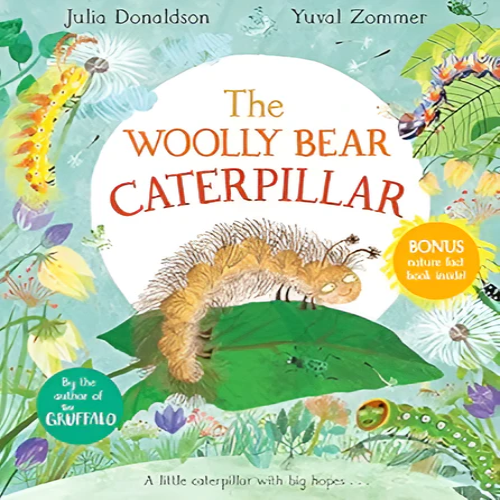 The Woolly Bear Caterpillar - Book Review