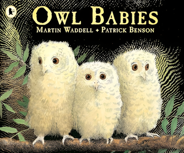 Owl Babies - Book Review