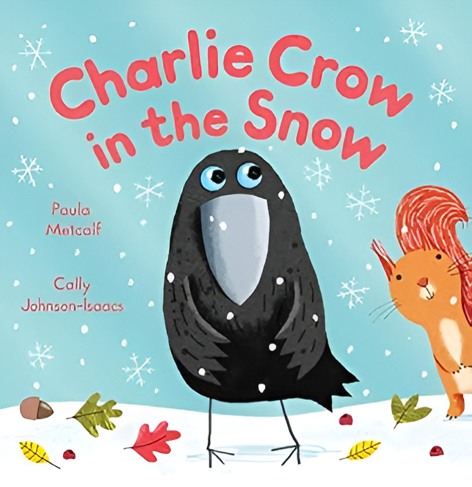 Macmillan Charlie Crow in the Snow - Book review