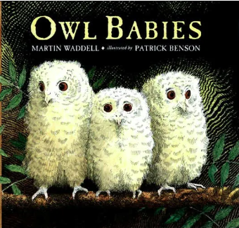 Owl Babies