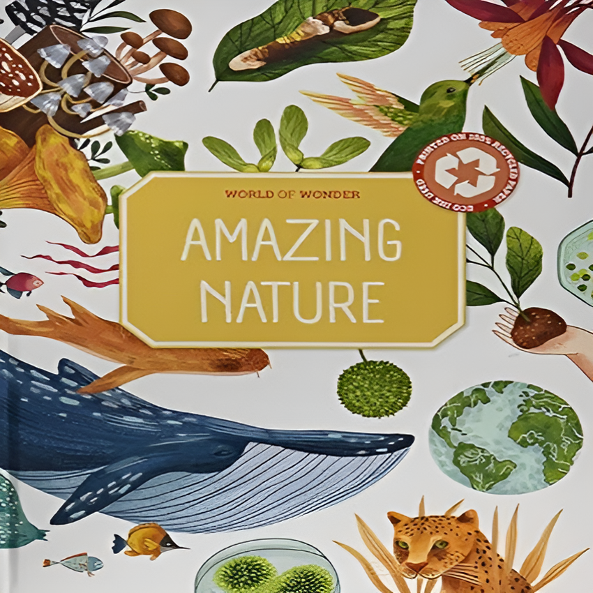 Amazing Nature (Beautiful Watercolor Illustrated Book made from Recycled Paper)