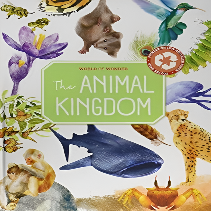 The Animal Kingdom (Beautiful Watercolour Illustrated Book made from Recycled Paper)