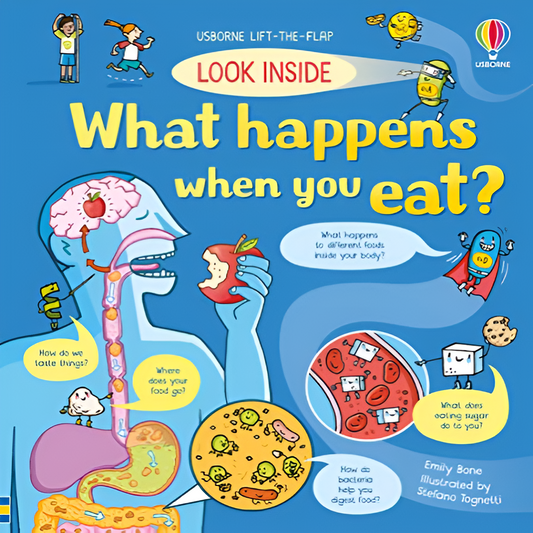 Look Inside What Happens When You Eat