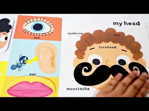 Touch & Feel with Flaps My First 100 Words: My Body (20+ Flaps)